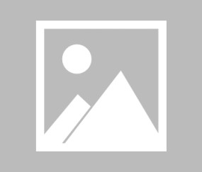 爱游戏注册入口-浙江体育在线直播观看